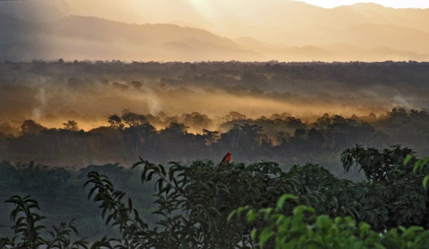 Bolivian Amazon at sunset