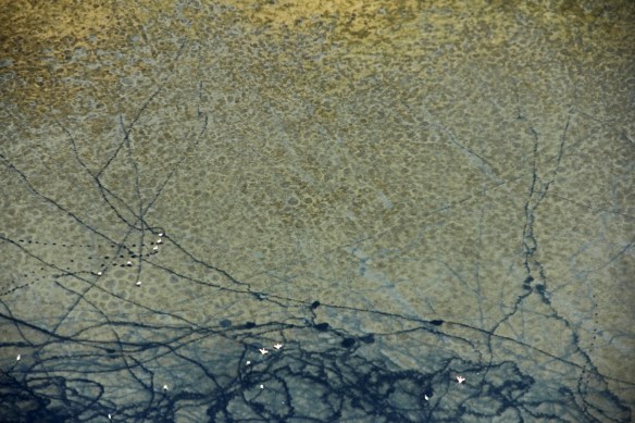 Flamingoes at Sandwich Harbor, Namibia