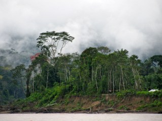 Mist in Madidi National Park
