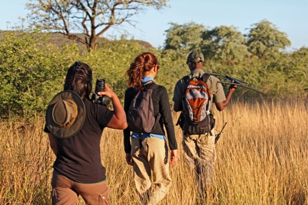 Tracking cheetahs at AfriCat, Namibia