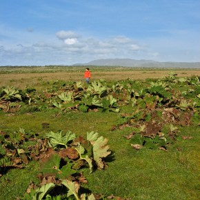 A Modern Fairytale – Part&nbsp;II