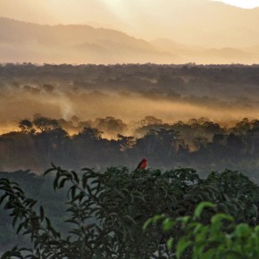 Friday Photo: The Bolivian&nbsp;Amazon