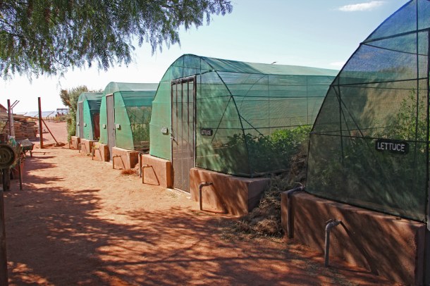 Greenhouses at Wolwedans Dunes Lodge, NamibRand Nature Reserve, Namibia