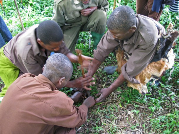 Batwa tribe members make fire in Uganda
