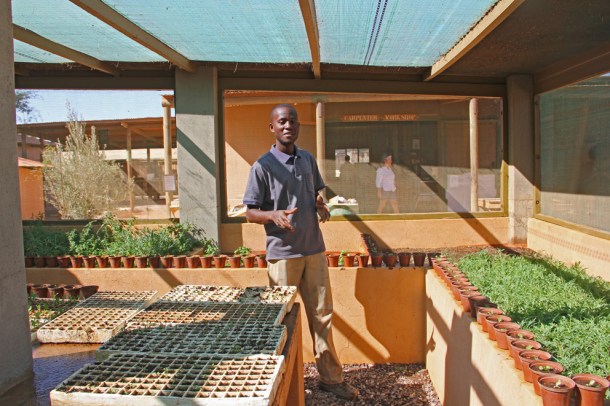 Plant nursery at Wolwedans Dunes Lodge, Namibia, Africa