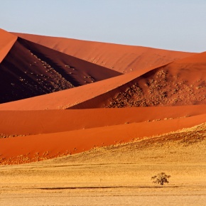 Friday Photo: Namibia’s Sea of Sand