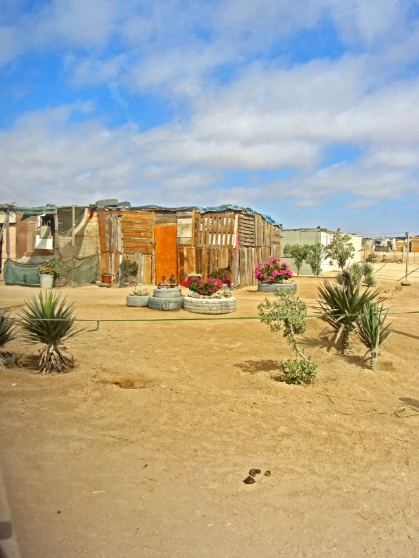 Township gardens in Mondesa, Swakopmund, Namibia
