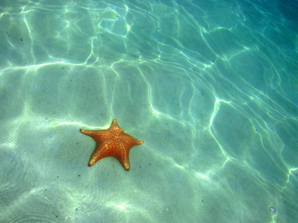 The Caribbean waters off Starfish Beach, Bocas del Toro, Panama