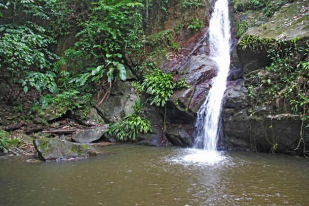Castara waterfall trek, Tobago. Waterfall in the middle of the jungle.