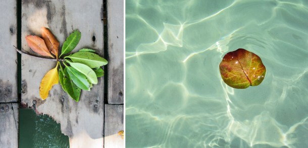 Isla Grande, Islas del Rosario, Colombia
