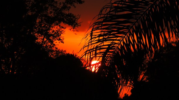 Sunset, tropical