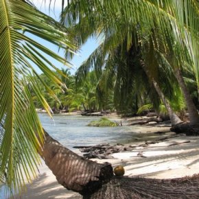 Love Island: A Very Panamanian Affair