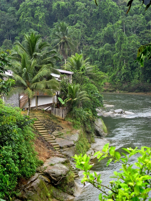 Wimbi village Esmeraldas Ecuador Choco Rainforest