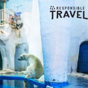 2017: The UN’s – and my – Year of Sustainable&nbsp;Tourism